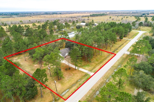 8406 County Road 466, Liverpool, TX 77577 - photo 18
