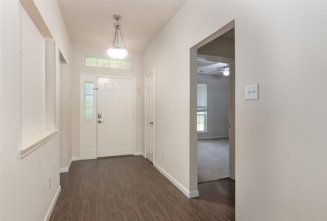 8406 County Road 466, Liverpool, TX 77577 - photo 4