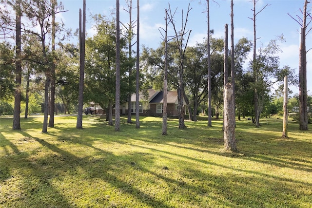 8406 County Road 466, Liverpool, TX 77577 - photo 17