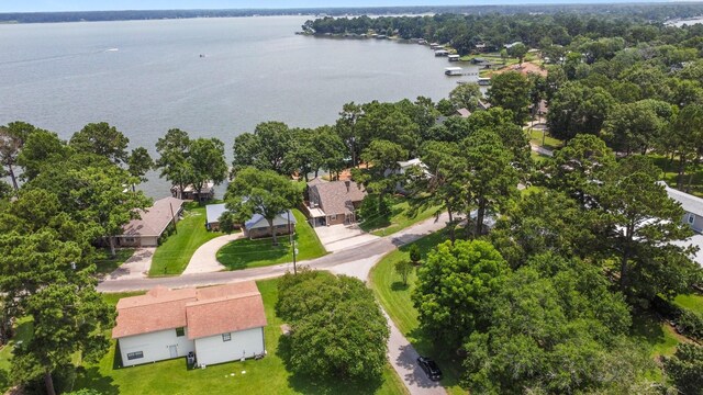 1436 Indian Hill Blvd, Livingston, TX 77351 - photo 49