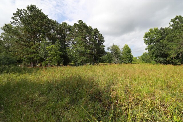 7449 Hwy 61, Hankamer, TX 77560