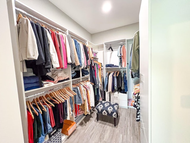 2900 Green Ash Ct, Conroe, TX 77301 - walk in closet featuring wood finished floors