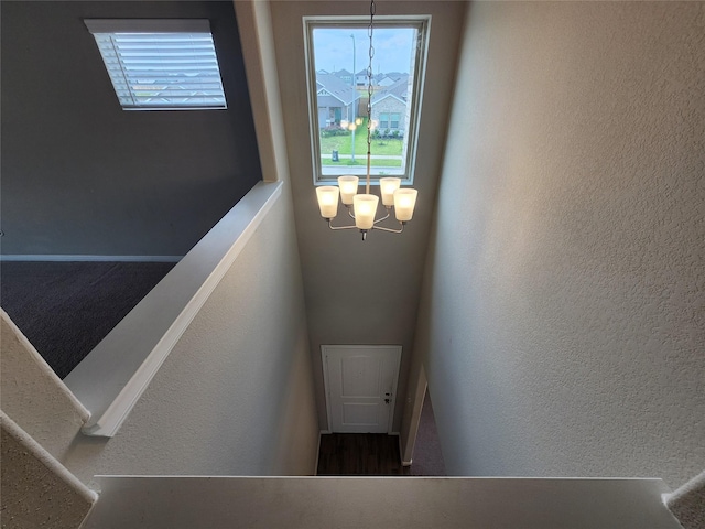 7914 Cypress Myrtle Dr, Cypress, TX 77433 - photo 19