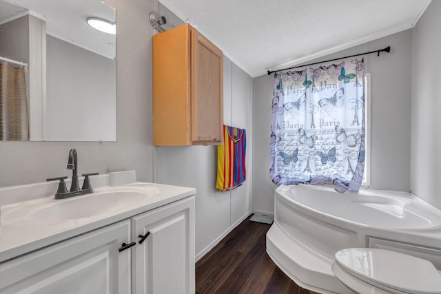 497 Rd 5603, Cleveland, TX 77327 - bathroom featuring wood finished floors, vanity, a bath, a textured ceiling, and toilet