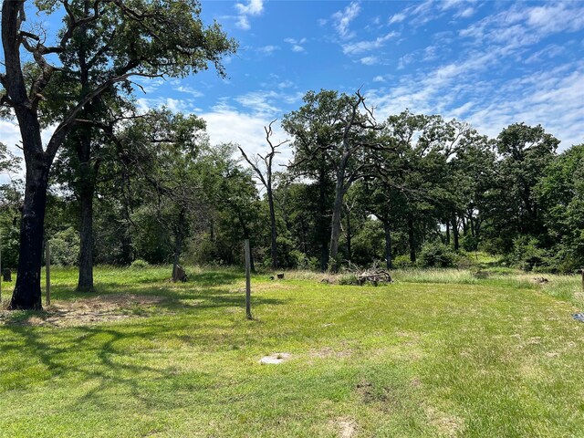 2406 W US Highway 79, Buffalo, TX 75831 - view of green lawn