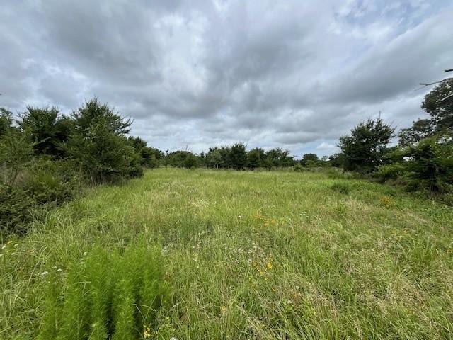 2406 W US Highway 79, Buffalo, TX 75831 - view of nature