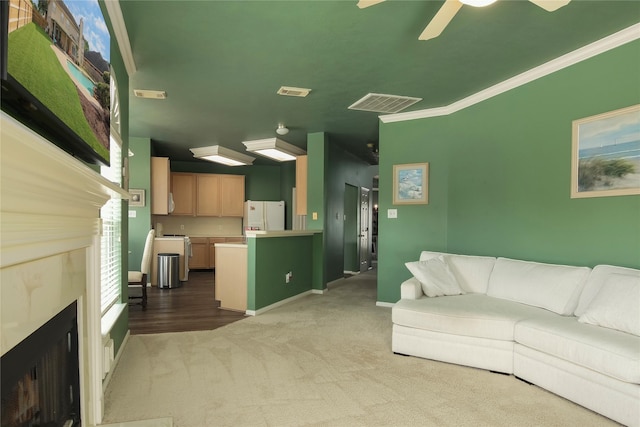 6819 Olympia Dr, Pasadena, TX 77505 - living room with carpet floors, a fireplace, baseboards, ceiling fan, and ornamental molding
