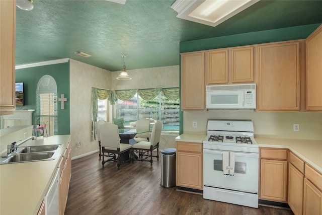 6819 Olympia Dr, Pasadena, TX 77505 - kitchen featuring white appliances, a sink, light brown cabinetry, dark wood-style flooring, and light countertops