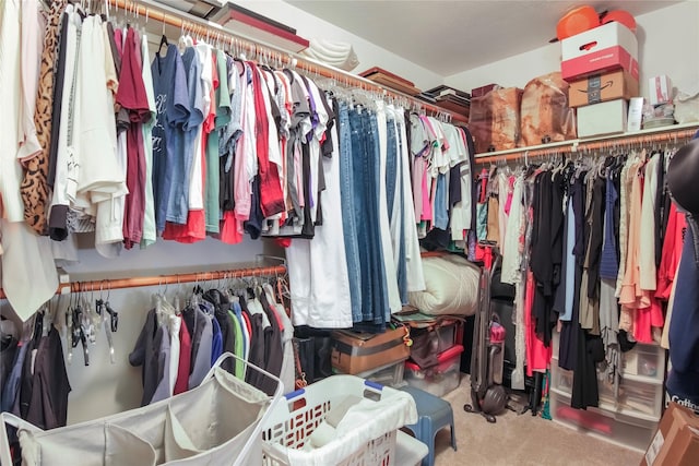6819 Olympia Dr, Pasadena, TX 77505 - spacious closet with carpet