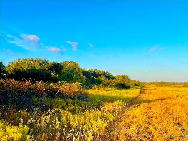 TBD Fm-530, Hallettsville, TX 77964 - photo 16