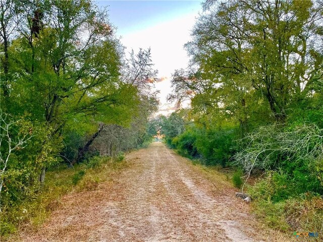 TBD Fm-530, Hallettsville, TX 77964 - photo 19