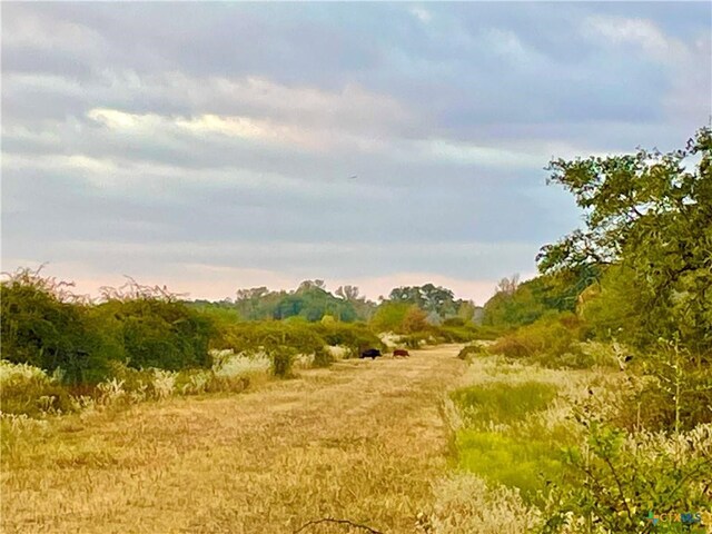 TBD Fm-530, Hallettsville, TX 77964 - photo 21