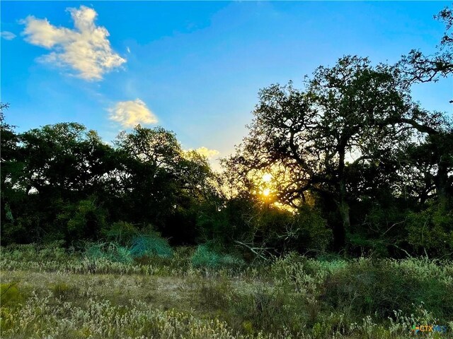 TBD Fm-530, Hallettsville, TX 77964 - photo 28