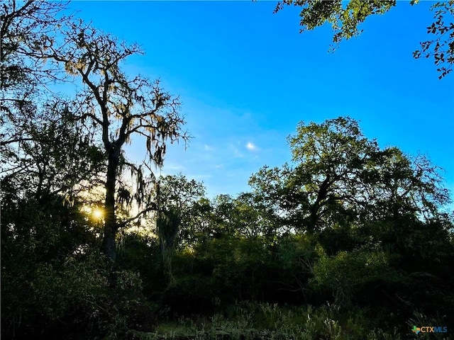 TBD Fm-530, Hallettsville, TX 77964 - photo 29