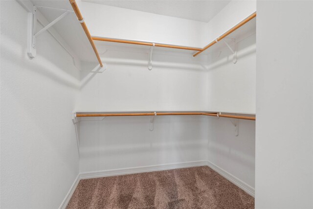 6124 Tyne St, Houston, TX 77007 - photo 11