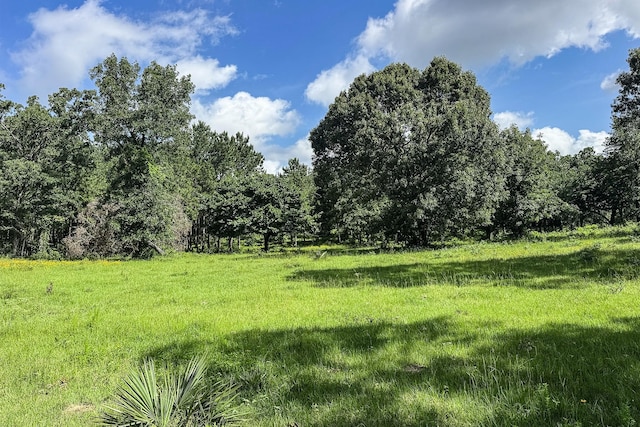 66.8ACRES Fm 230, Trinity, TX 75862