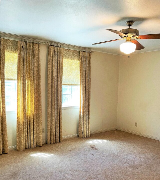 409 W Collier St, Jasper, TX 75951 - carpeted empty room with a ceiling fan