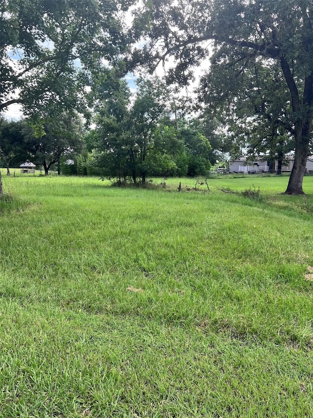 TBD Monticello St, Trinity, TX 75862 - photo 3