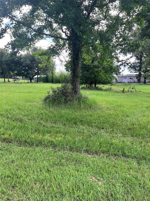 TBD Monticello St, Trinity, TX 75862 - photo 4