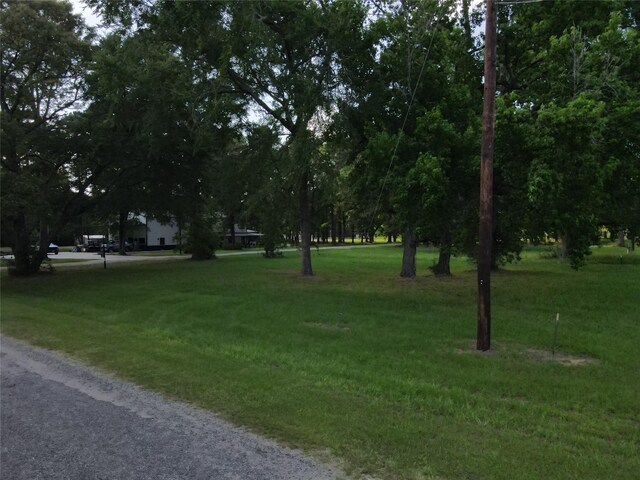 LOT3 Hermitage St, Trinity, TX 75862 - photo 2