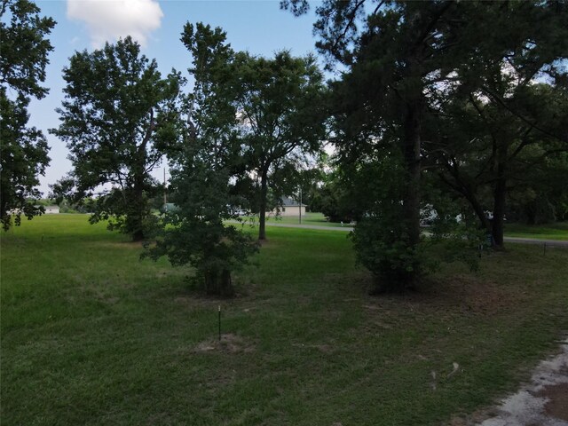LOT3 Hermitage St, Trinity, TX 75862 - photo 3