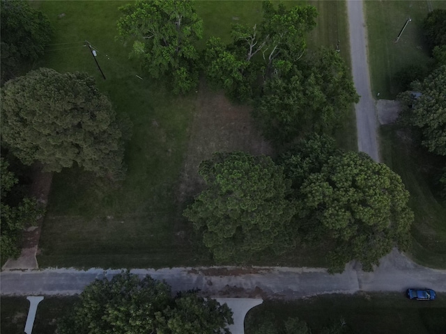 LOT3 Hermitage St, Trinity, TX 75862 - photo 4