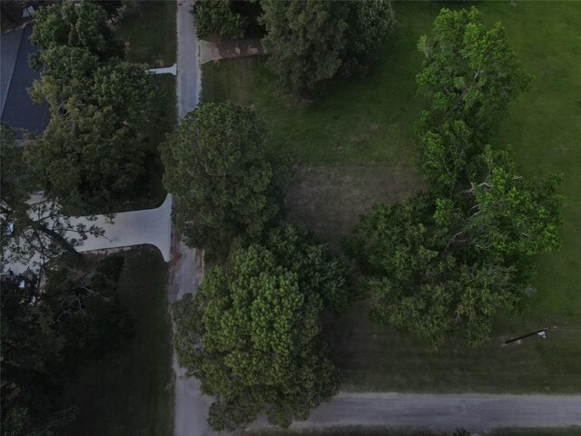 LOT3 Hermitage St, Trinity, TX 75862 - photo 5
