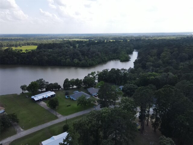 LOT3 Hermitage St, Trinity, TX 75862 - photo 6