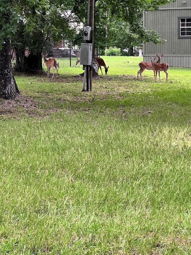 147 Pine Trl, Trinity, TX 75862