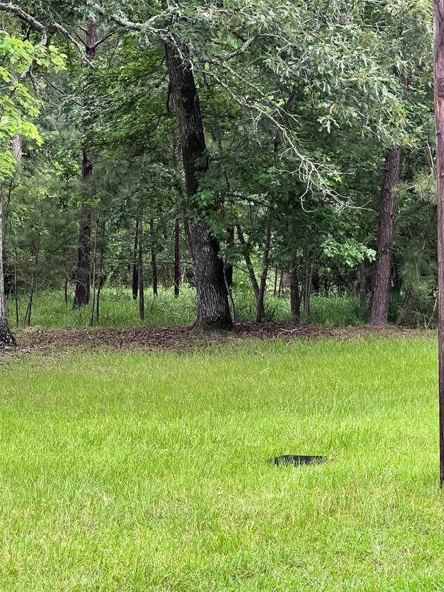147 Pine Trl, Trinity, TX 75862