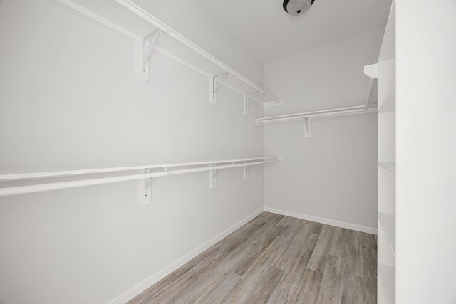 8 Donna Ct, Brookshire, TX 77423 - walk in closet with light wood-type flooring