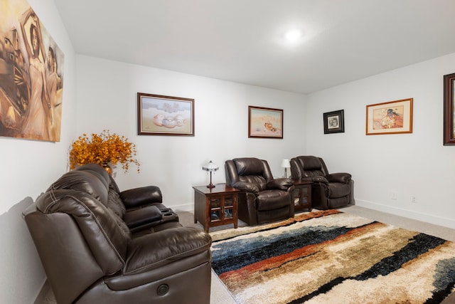 12211 Grey Plover Ct, Conroe, TX 77304 - carpeted cinema room with baseboards