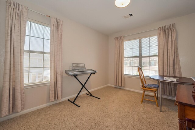 16012 Summerville Lake Dr, Tomball, TX 77377 - photo 25