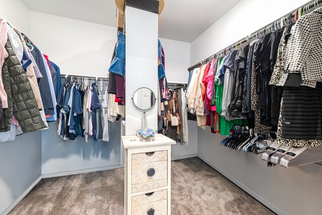18204 Saffron Sun St, Conroe, TX 77302 - walk in closet featuring carpet flooring