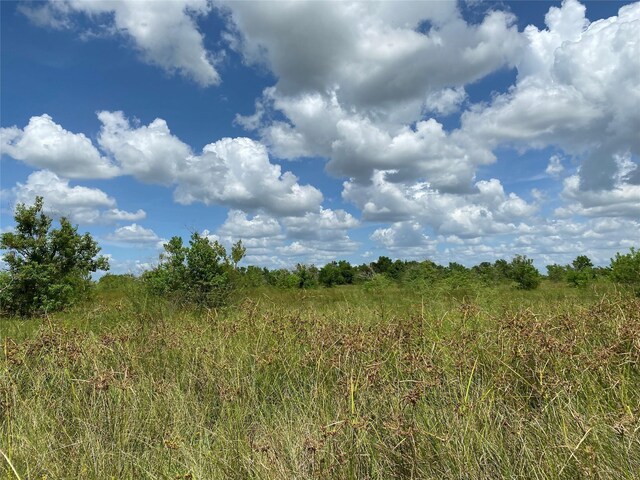 1060 Kveton Rd, Cat Spring, TX 78933 - photo 4