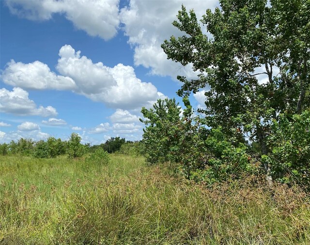 1060 Kveton Rd, Cat Spring, TX 78933 - photo 5