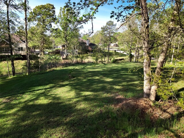 TBD W Lake Dr, Livingston, TX 77351 - photo 3