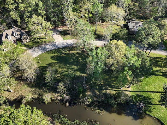 TBD W Lake Dr, Livingston, TX 77351 - photo 4