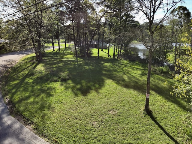 TBD W Lake Dr, Livingston, TX 77351 - photo 1