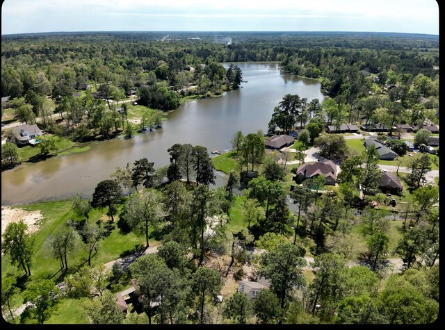 TBD W Lake Dr, Livingston, TX 77351 - photo 5