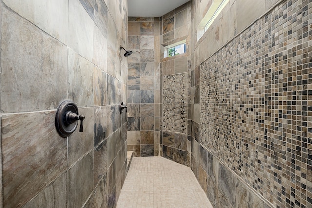 24914 Misty Heath Ln, Katy, TX 77494 - full bath with tiled shower