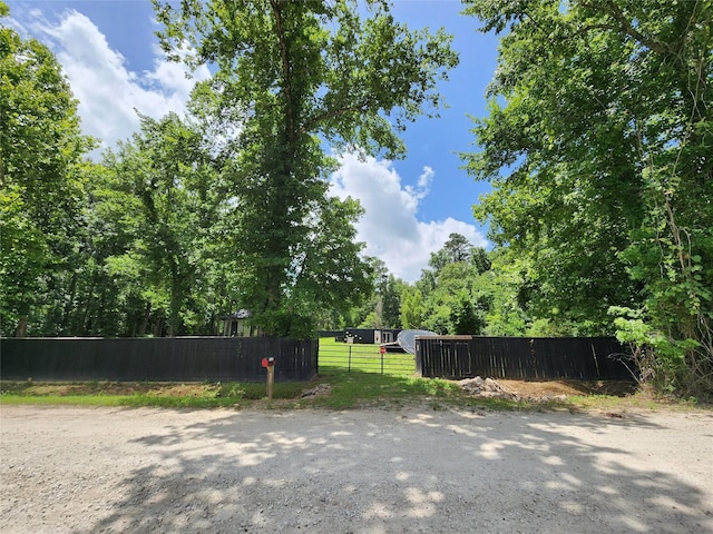 12123 Overhill Rd, Plantersville, TX 77363 - photo 16