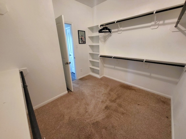 24703 Allori Ct, Katy, TX 77493 - walk in closet with carpet flooring
