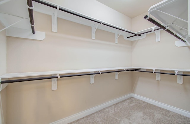 1202 Watercrest Park Ln, Rosenberg, TX 77471 - spacious closet featuring carpet flooring