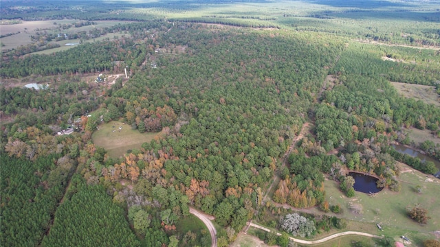0 Raven Hill Rd, Oakhurst, TX 77359 - photo 1