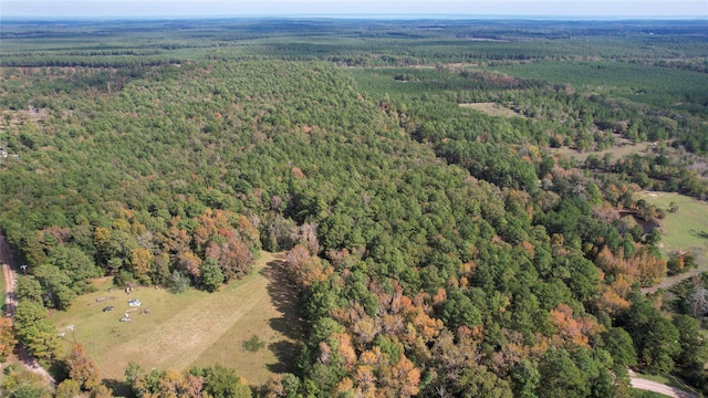 0 Raven Hill Rd, Oakhurst, TX 77359 - photo 2
