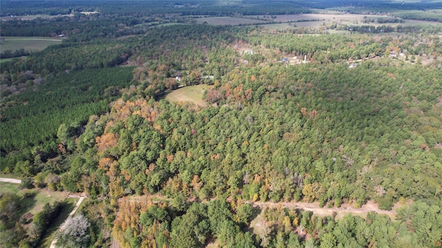 0 Raven Hill Rd, Oakhurst, TX 77359 - photo 3