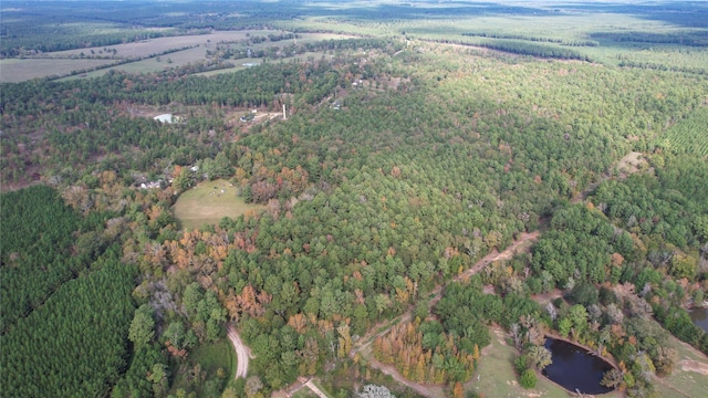 0 Raven Hill Rd, Oakhurst, TX 77359 - photo 4