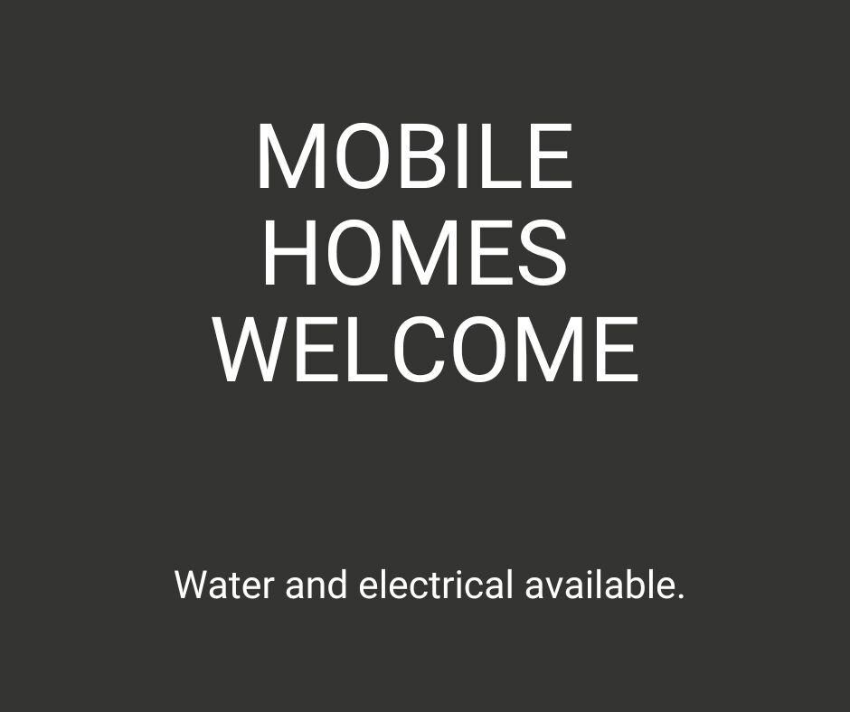 175 Lakeview Ln, Shepherd, TX 77371