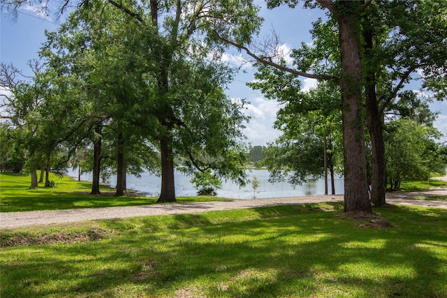 266 Lakeland Rd, Huntsville, TX 77320 - photo 3